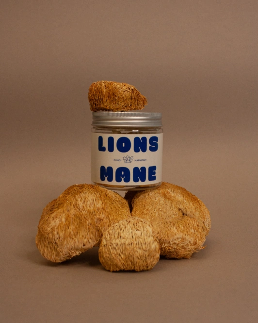 Lion’s Mane 90 Capsules