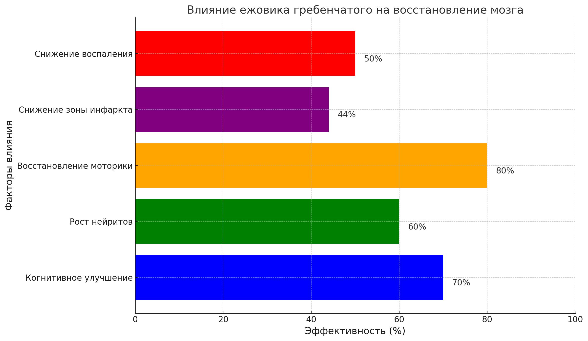 Как Ежовик Гребенчатый помогает в восстановлении после инсульта