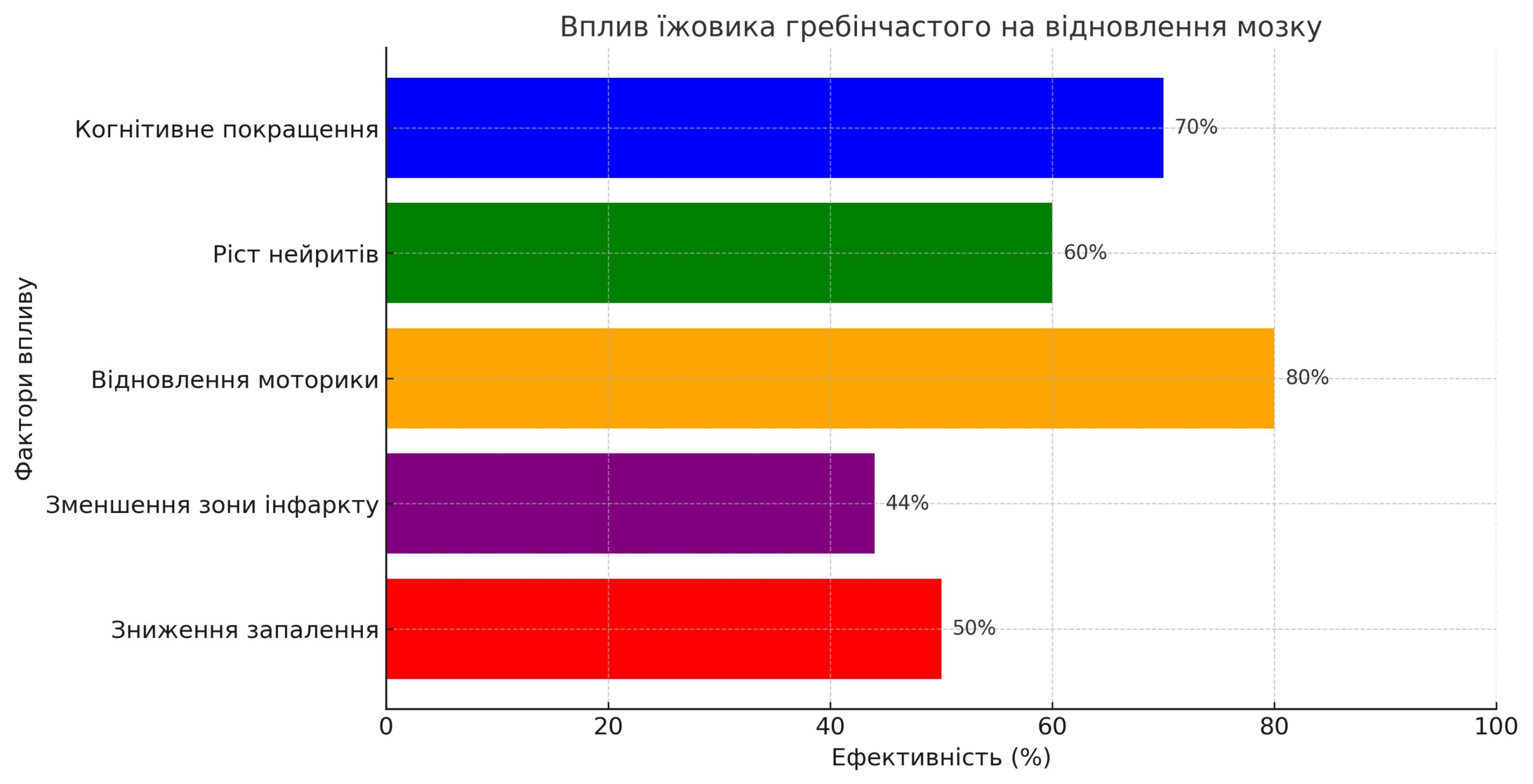 Як Їжовик Гребінчастий допомагає у відновленні після інсульту