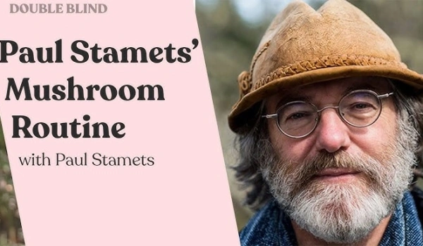 The Paul Stamets Stack: Protocol, Components, and Evidence