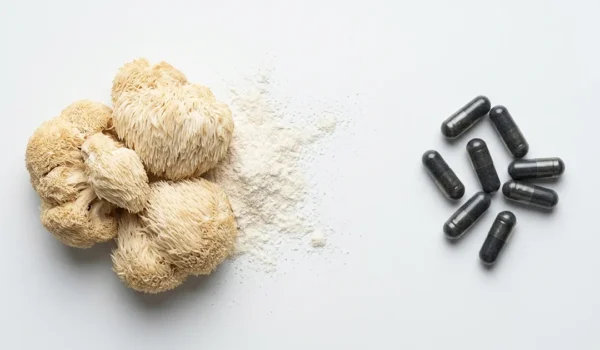 Nootropic Mushroom Stack for Focus: Lion’s Mane, Adaptogens & Cognitive Support
