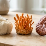 Lion’s Mane vs Cordyceps vs Reishi: Which One Do You Need?